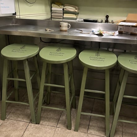 Personalized bar stools - customer photo